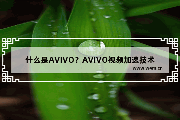 什么是AVIVO？AVIVO视频加速技术解析