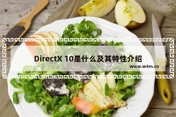 DirectX 10是什么及其特性介绍