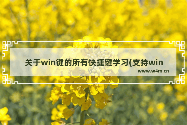 关于win键的所有快捷键学习(支持win7 win8)