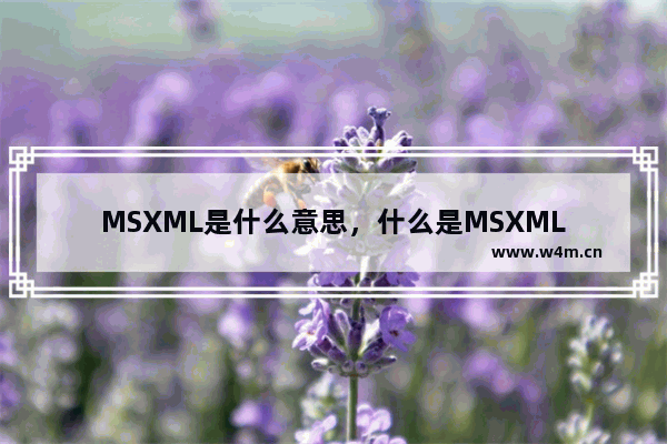 MSXML是什么意思，什么是MSXML