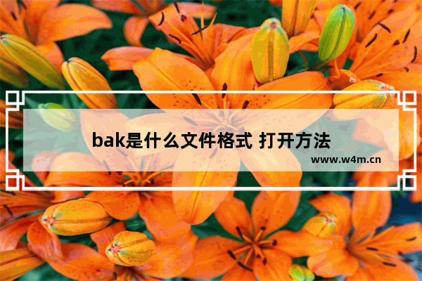 bak是什么文件格式 打开方法