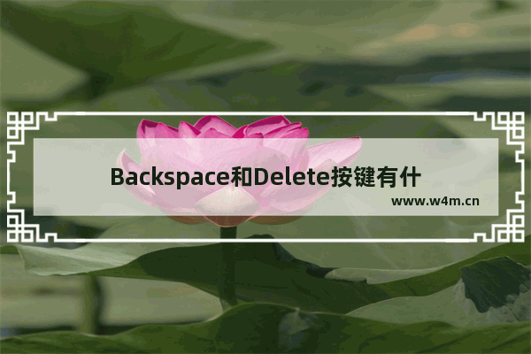 Backspace和Delete按键有什么形同与区别?