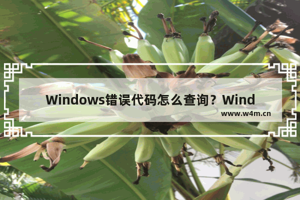 Windows错误代码怎么查询？Windows错误代码大全汇总解答(超全)