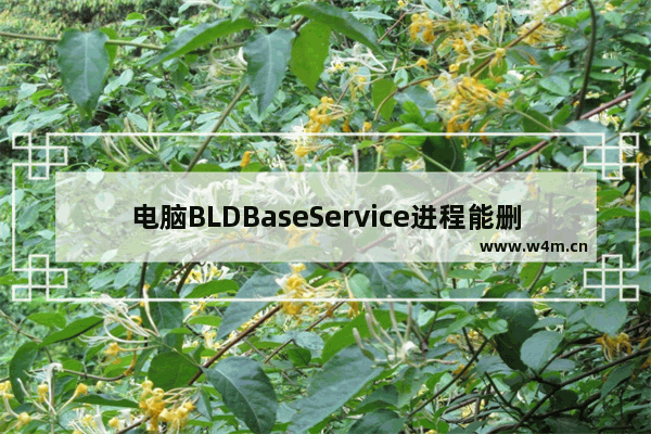 电脑BLDBaseService进程能删除吗? BLDBaseService的卸载方法