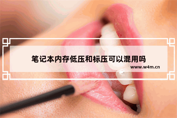 笔记本内存低压和标压可以混用吗