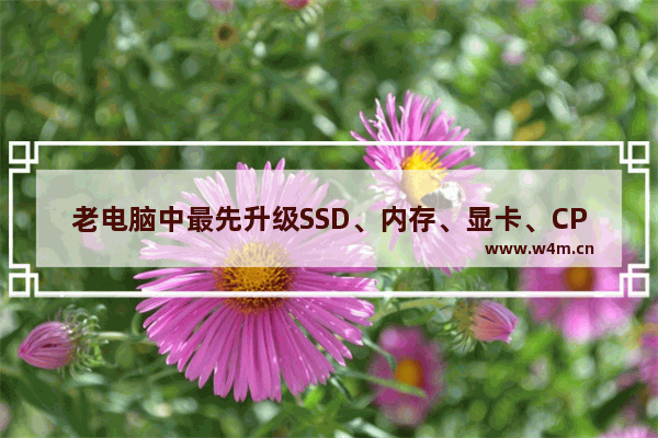 老电脑中最先升级SSD、内存、显卡、CPU和主板哪个好？