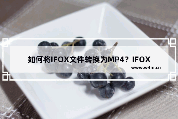 如何将IFOX文件转换为MP4？IFOX文件转换成MP4方法