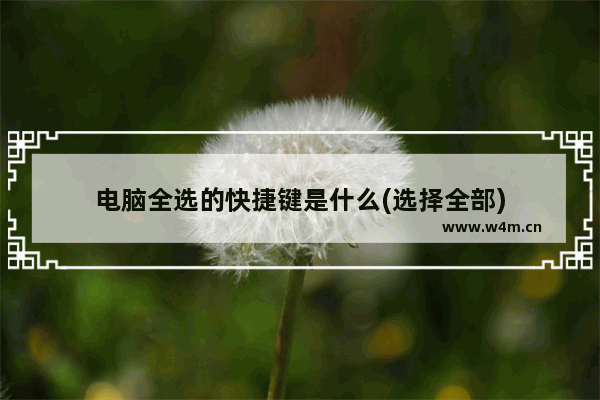 电脑全选的快捷键是什么(选择全部)