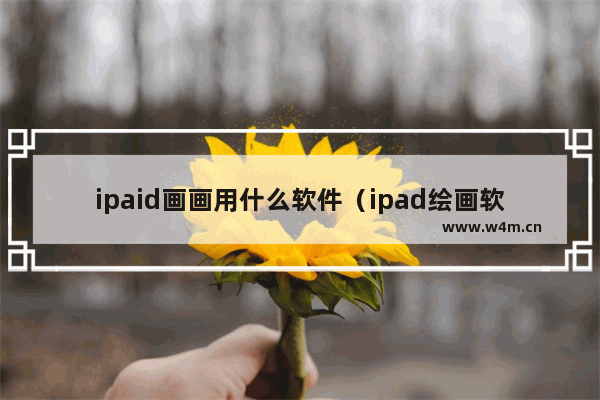 ipaid画画用什么软件（ipad绘画软件哪个好）