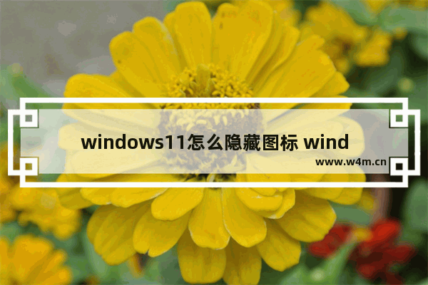 windows11怎么隐藏图标 windows11隐藏图标教程