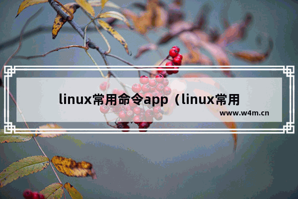 linux常用命令app（linux常用命令大全及解释）