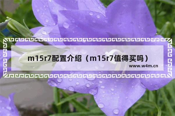 m15r7配置介绍（m15r7值得买吗）