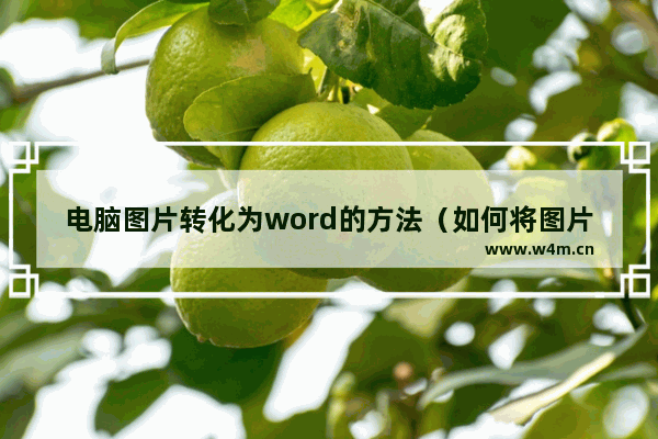 电脑图片转化为word的方法（如何将图片文件内容转换成WORD文档）