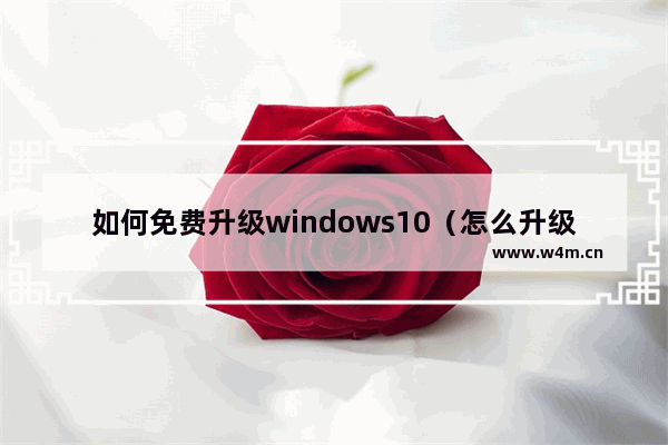 如何免费升级windows10（怎么升级windows10简单易懂）