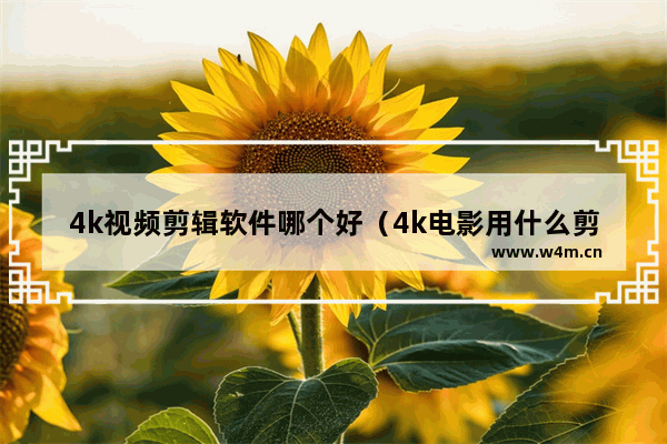 4k视频剪辑软件哪个好（4k电影用什么剪）