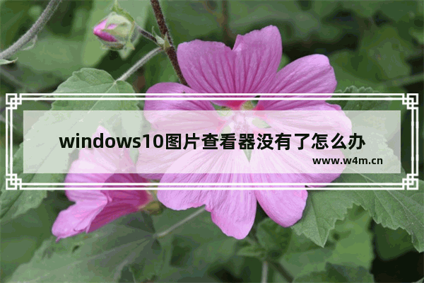 windows10图片查看器没有了怎么办 windows10图片查看器没有了解决办法