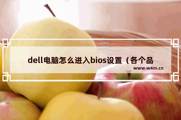 dell电脑怎么进入bios设置（各个品牌机/组装机电脑进BIOS方法）