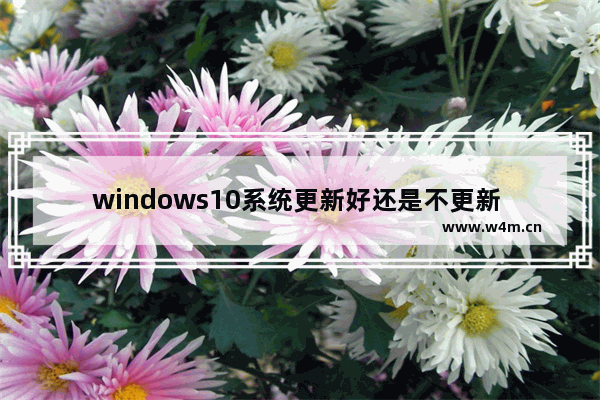 windows10系统更新好还是不更新 windows10系统更新好还是系统不更新好