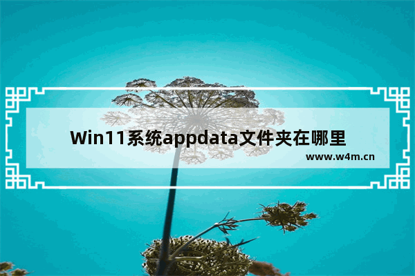 Win11系统appdata文件夹在哪里 Win11系统appdata文件夹位置介绍