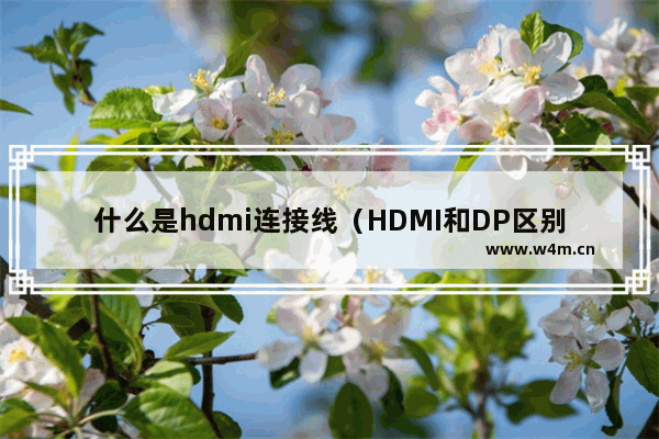 什么是hdmi连接线（HDMI和DP区别在哪里）