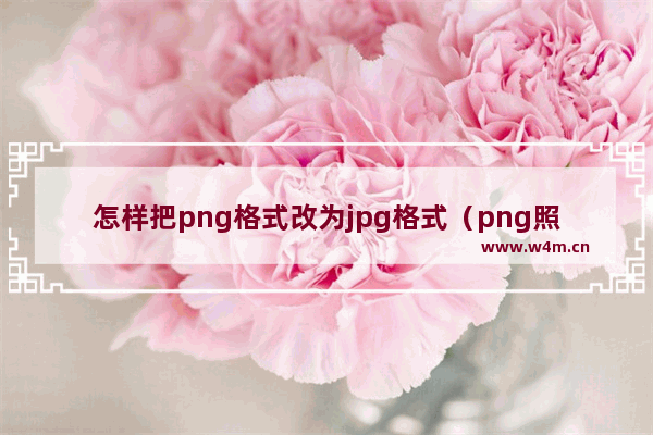 怎样把png格式改为jpg格式（png照片怎么换成jpg格式）