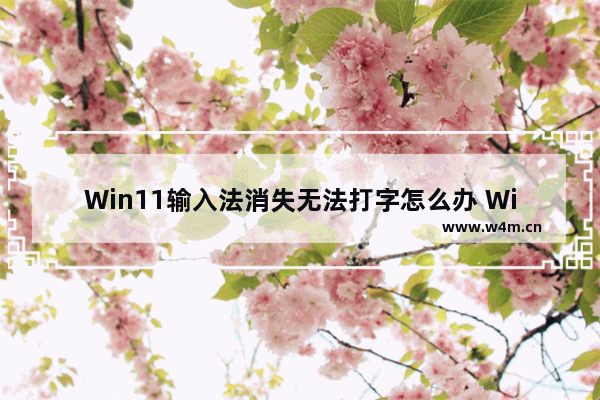 Win11输入法消失无法打字怎么办 Win11输入法消失无法打字的解决方法