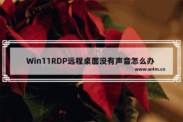 Win11RDP远程桌面没有声音怎么办 Win11RDP远程桌面没有声音解决办法