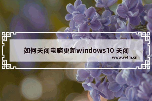 如何关闭电脑更新windows10 关闭电脑更新教程windows10