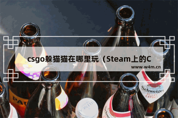 csgo躲猫猫在哪里玩（Steam上的CSGO游戏怎么玩躲猫猫）