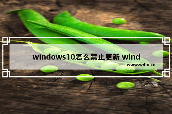 windows10怎么禁止更新 windows10禁止更新方法