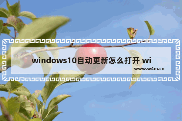 windows10自动更新怎么打开 windows10自动更新打开教程