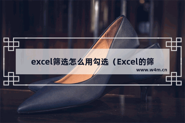 excel筛选怎么用勾选（Excel的筛选的使用技巧）