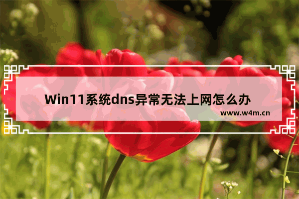 Win11系统dns异常无法上网怎么办 Win11dns异常无法上网的解决方法