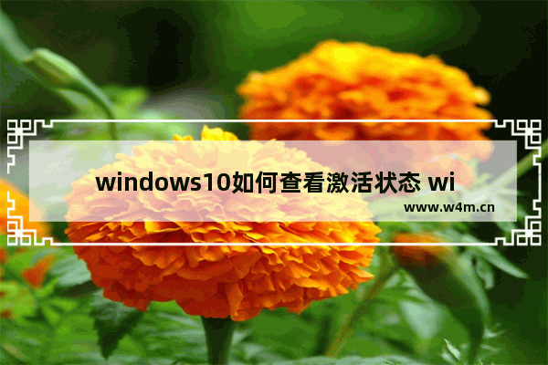 windows10如何查看激活状态 windows10查看激活状态方法