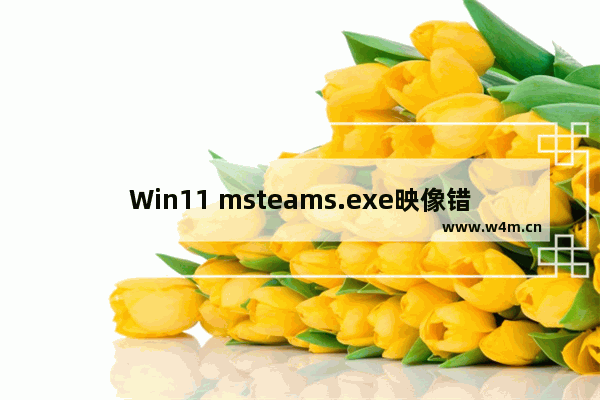 Win11 msteams.exe映像错误怎么解决 Win11 exe损坏的映像修复教程