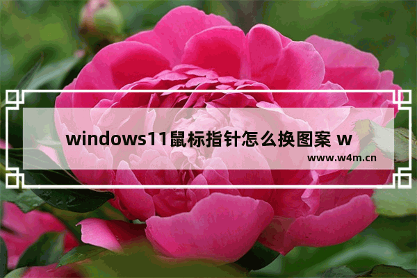 windows11鼠标指针怎么换图案 windows11鼠标指针换图案教程