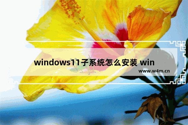 windows11子系统怎么安装 windows11子系统安装教程