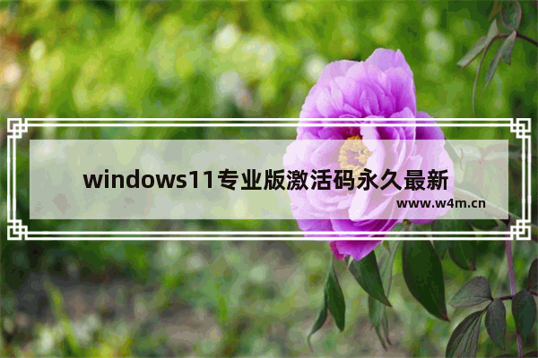 windows11专业版激活码永久最新 windows11专业版激活密钥免费