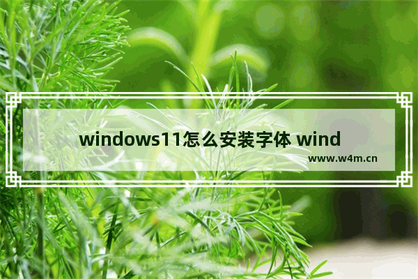 windows11怎么安装字体 windows11安装字体教程