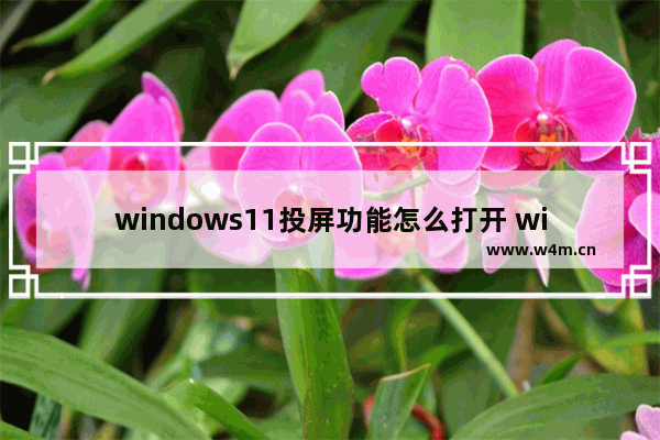 windows11投屏功能怎么打开 windows11投屏功能打开方法