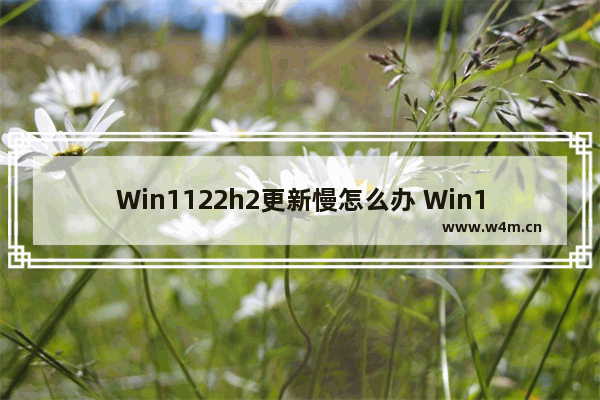 Win1122h2更新慢怎么办 Win1122h2更新卡死解决方法