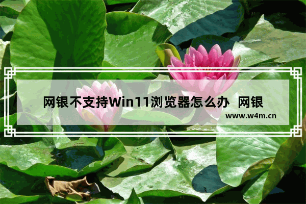 网银不支持Win11浏览器怎么办  网银不支持Win11浏览器解决教学