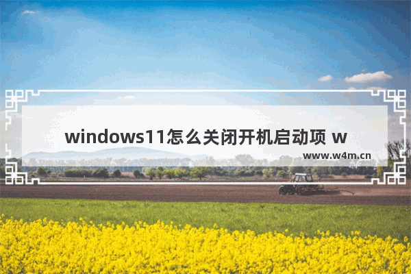 windows11怎么关闭开机启动项 windows11关闭开机启动项教程