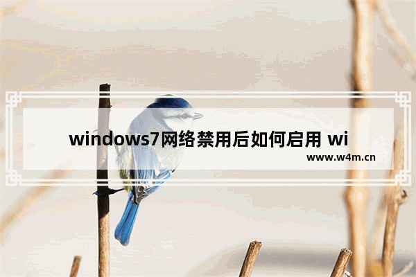 windows7网络禁用后如何启用 windows7网络禁用后怎么启用