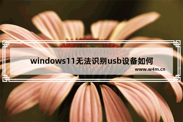 windows11无法识别usb设备如何解决 windows11无法识别usb设备解决办法