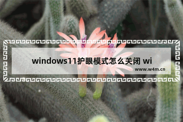 windows11护眼模式怎么关闭 windows11护眼模式关闭方法