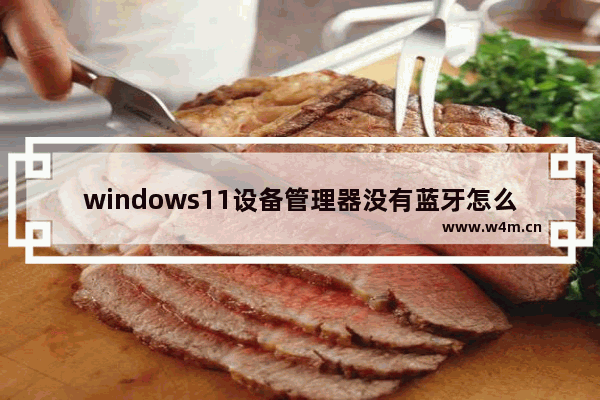 windows11设备管理器没有蓝牙怎么办 windows11设备管理器没有蓝牙解决办法