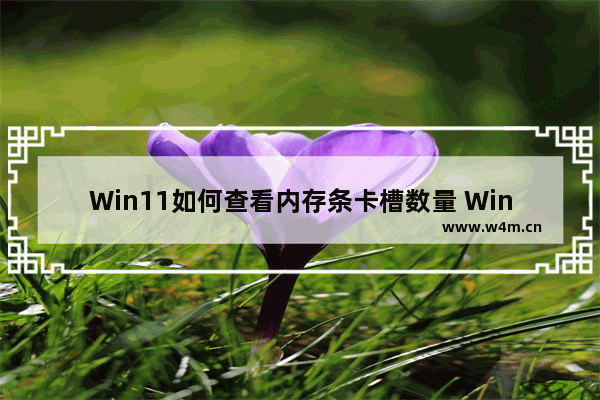 Win11如何查看内存条卡槽数量 Win11查看内存条卡槽数量的方法