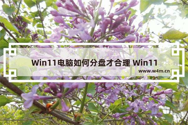 Win11电脑如何分盘才合理 Win11合理分盘的介绍