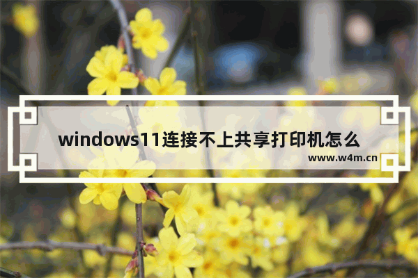 windows11连接不上共享打印机怎么办 windows11连接不上共享打印机解决办法